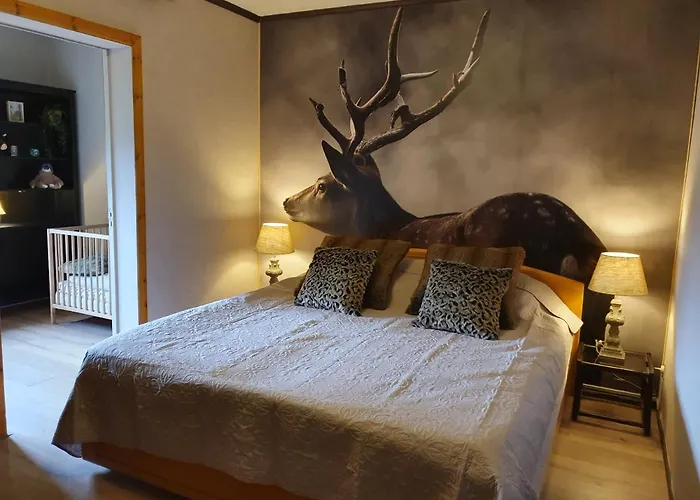 Cosy With Sauna Near River Hébergement de vacances La-Roche-en-Ardenne